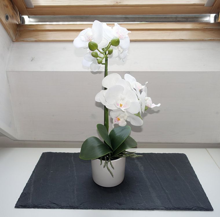 Ohmywor Künstliche Orchideen Rosa 50 Cm | 2 Stiele Im Topf | Deko Für Zuhause, Tisch Oder Party | Pflegeleicht & Geruchlos