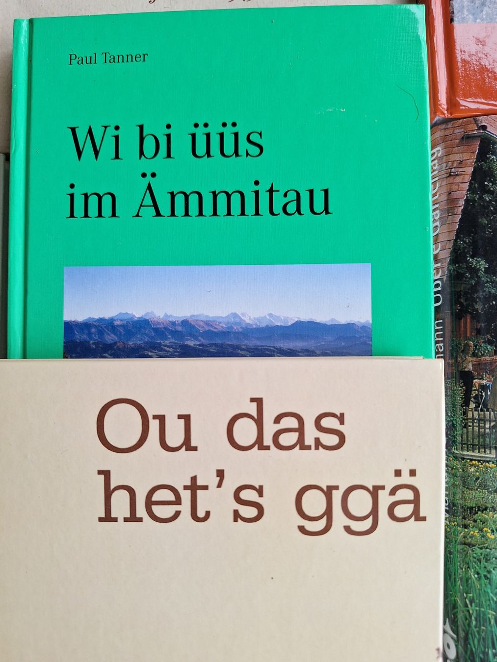 Libri: 10 STK BÜCHER BUCH MUNDART – Usato da Huttwil venduto da Kunterbuntli 3