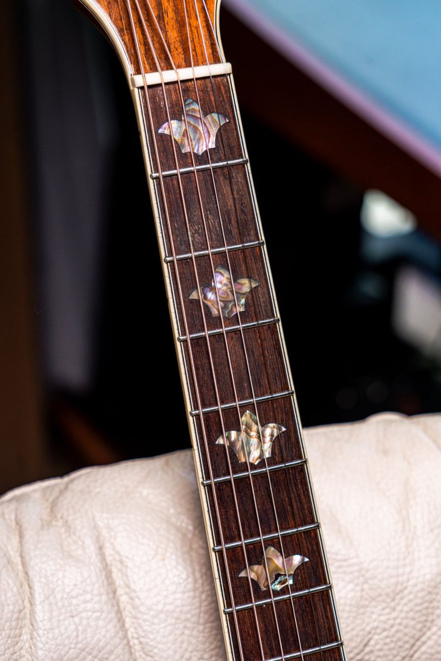 Strumenti musicali: Washburn Akustikgitarre – Usato da Unterseen venduto da Panini56 7
