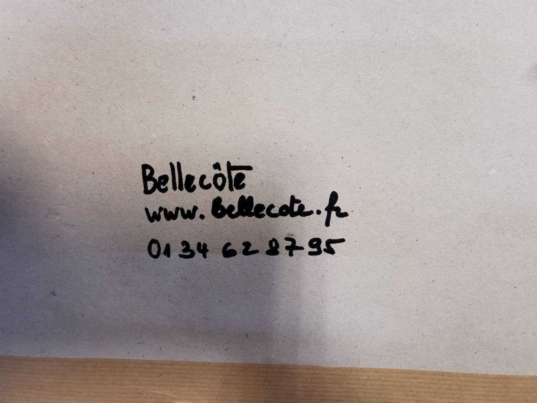 Gemälde: BELLECÔTE – Gebraucht aus Genève von Qanil77 8