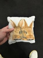2x Kuscheliges Hasenkissen, Deko für Ostern - Neuwertig!