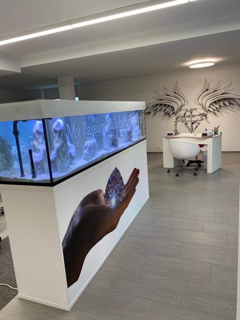 Acquari: Aquarium 250x50x50 – Nuovo (secondo la descrizione) da Berikon venduto da fischundart 1