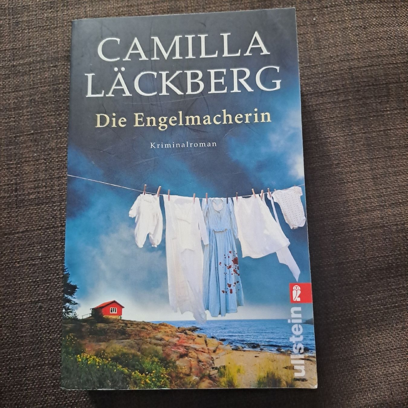 Libri: Camilla Läckberg – Usato da Oberengstringen venduto da ger_v5h5