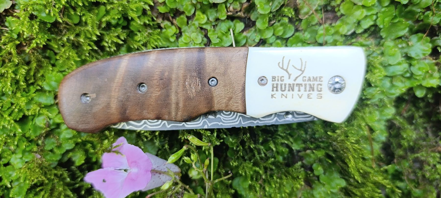 Taschenmesser: American Mint Taschenmesser  – Gebraucht aus Oppligen von can_rf8g 4