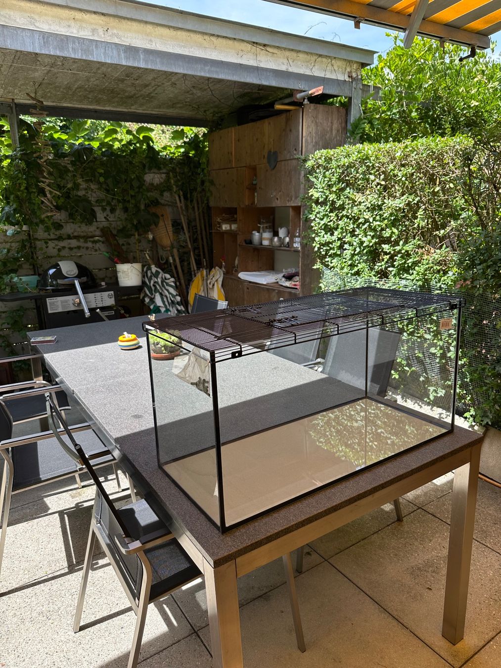 Terrariums: Terrarium 82cmx37cm – D'occasion à Hünenberg See par gin_7fm9 1