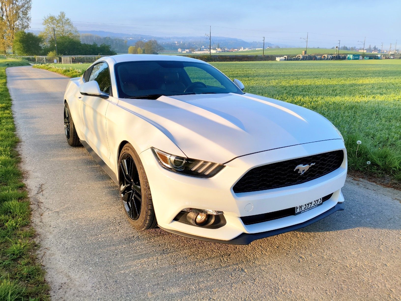 Ford Automobili: Ford Mustang Fastback – Usato da Dompierre FR venduto da F.Blanco 2