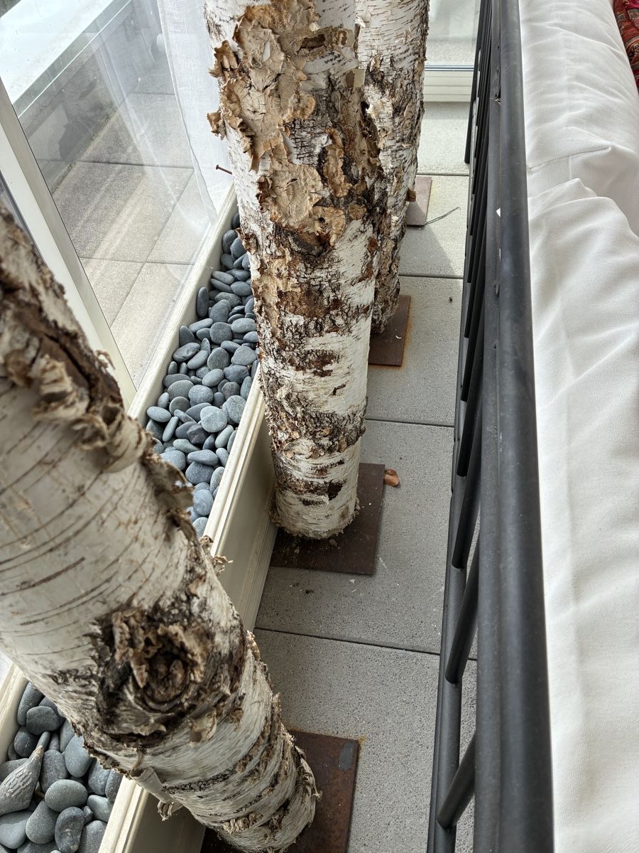 Toutes les décorations: Birkenstämme  4 Stück – D'occasion à Beringen par Ally7 3