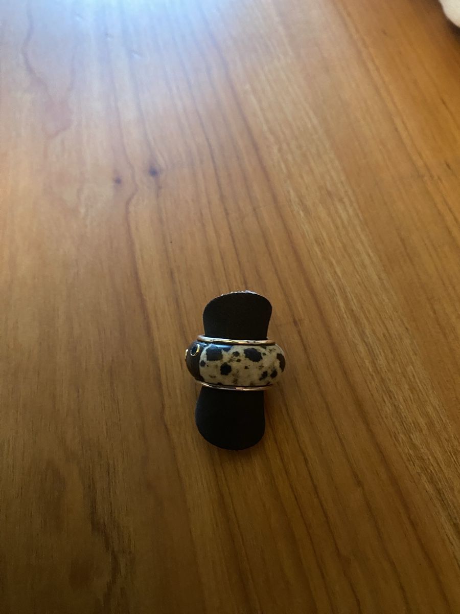 Anelli: Silberring mit Dalmantinerjaspis und Ebenholz – Nuovo e nell'imballaggio originale da Hermrigen venduto da pepper015 1