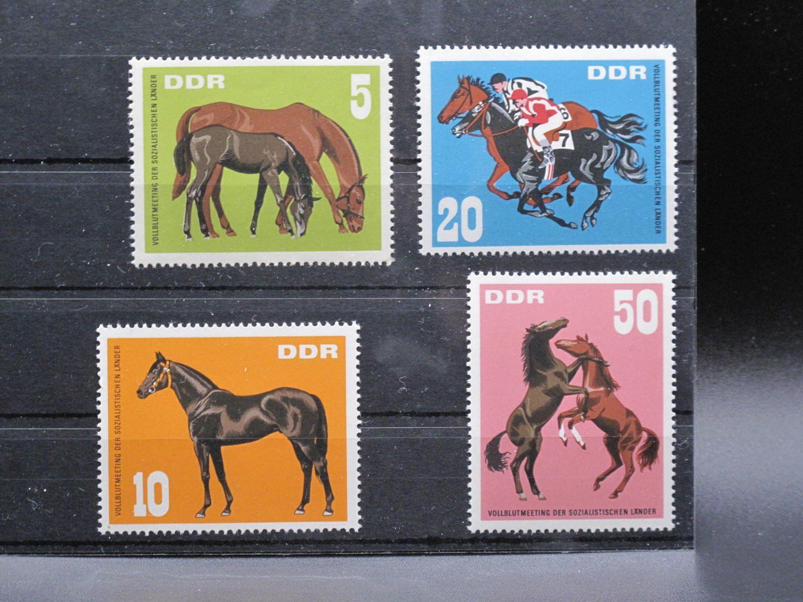 Alle Briefmarken: DDR 1967 Vollblutmeeting ** – Gebraucht aus Wil SG von fva01