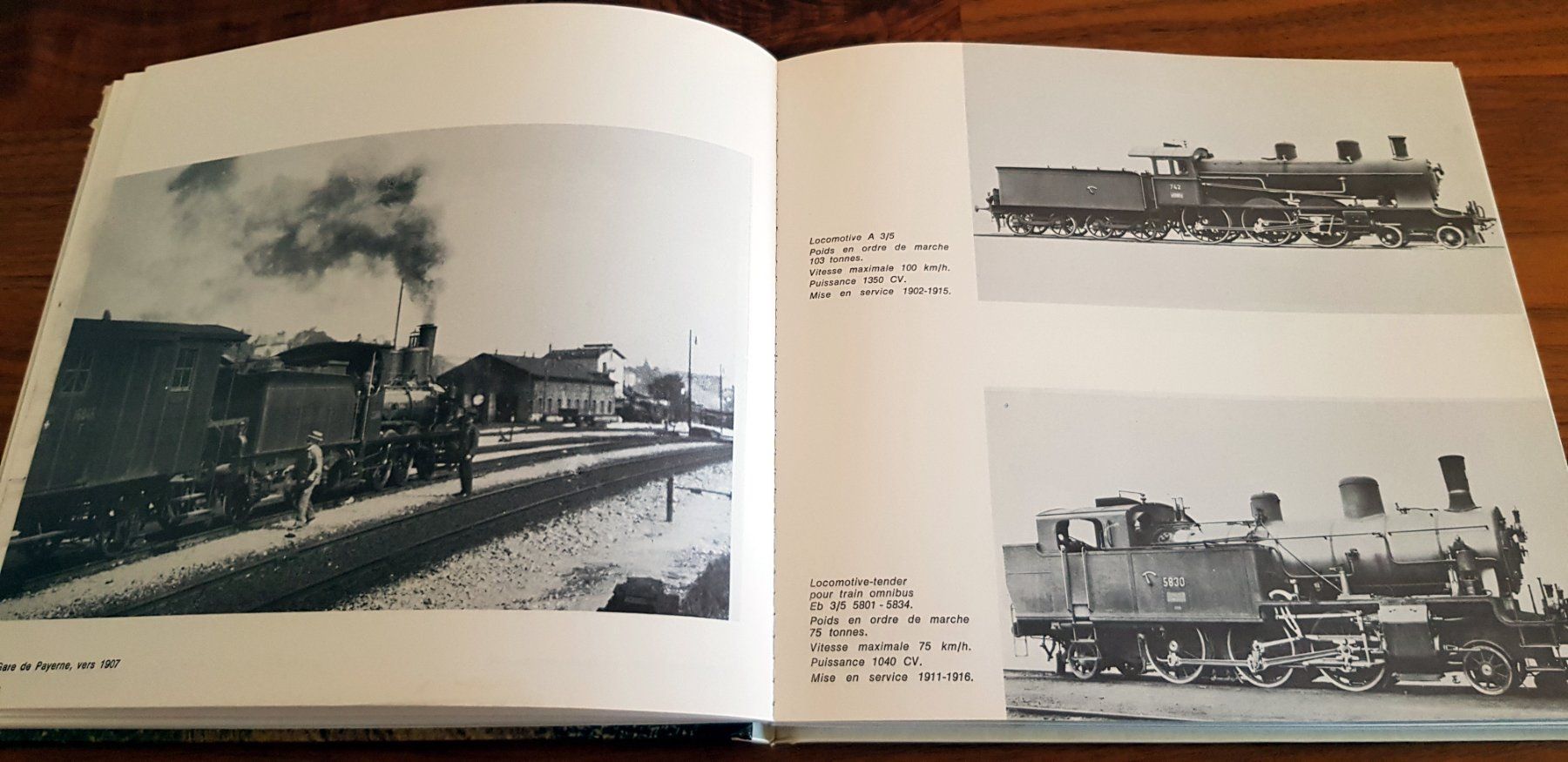 Libri: Chemins de fer de la Broye 1876-1976 – Usato da Birrwil venduto da dirtyoldtown 5