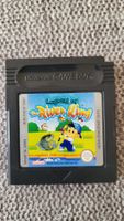 Legend of The River King / Nintendo Game Boy Spiel