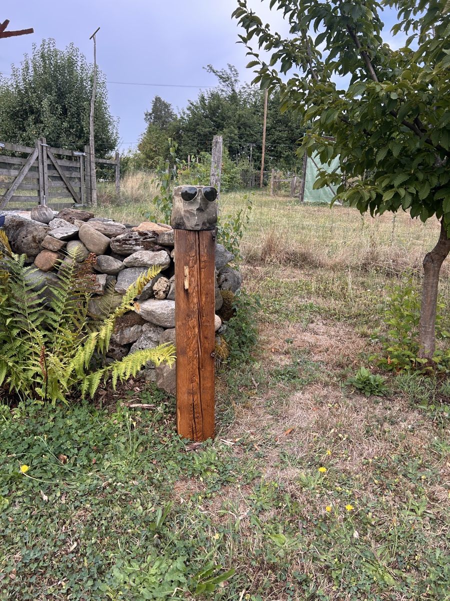 Skulpturen & Statuen: Stein- Holzkunst – Neu (gemäss Beschreibung) aus Niederhasli von betscharten 1