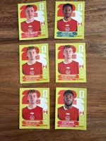 Panini Sticker Kanada Spieler