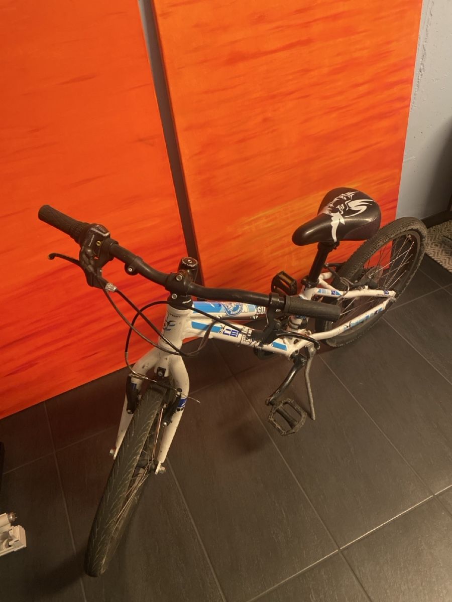 Biciclette: Kindervelo Marke Centurion – Usato da Wetzikon ZH venduto da cambaz75 1