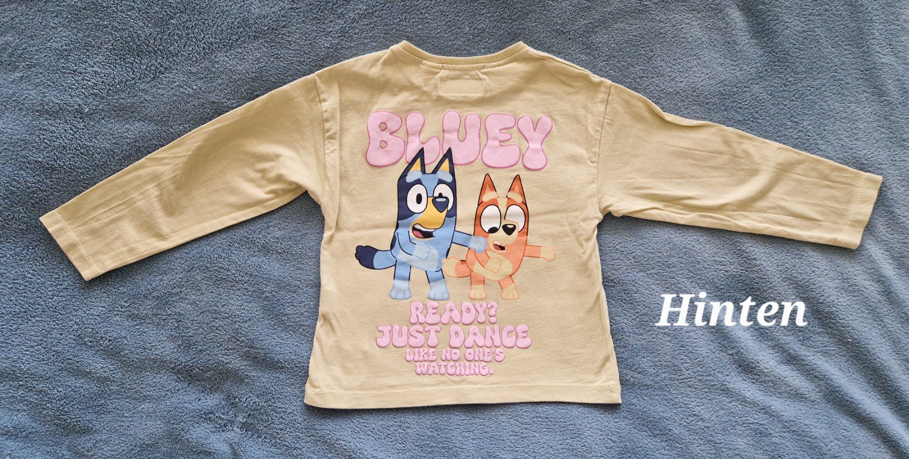 Zara Pullover & Sweatshirts: Langarmshirt Grösse 110 Bluey – Gebraucht aus Heimberg von Eleanor20 1