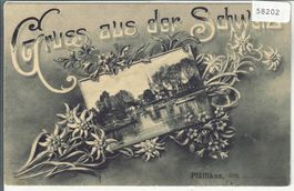 Gruss aus der Schweiz - Pfäffikon ZH