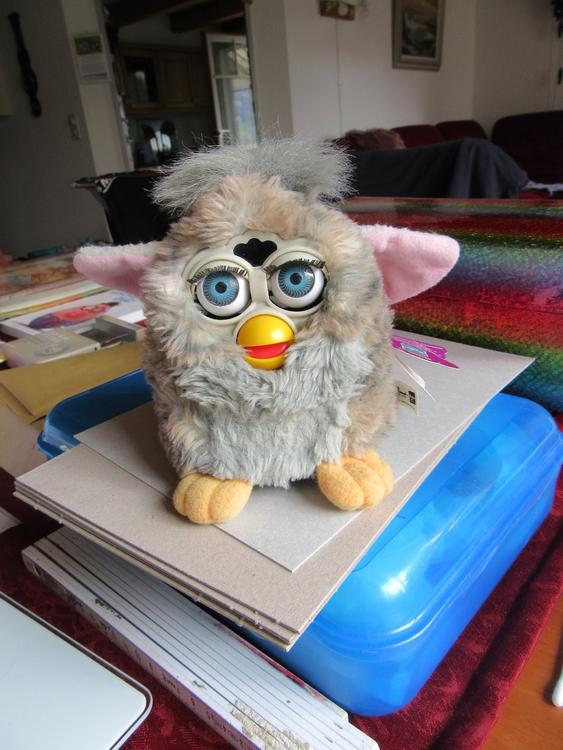 Furby 1998  Acheter sur Ricardo