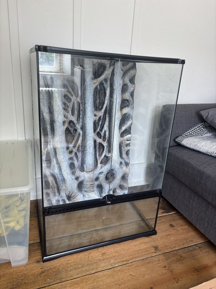 Terrario: Exo-Terra 60x45x90 Terrarium – Nuovo (secondo la descrizione) da Wädenswil venduto da jamiro_keller 2
