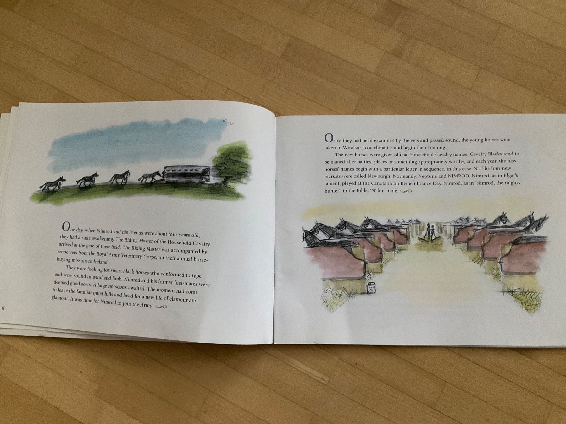 Libri: Two Books for Horse lovers – Usato da Winterthur venduto da aionila 2