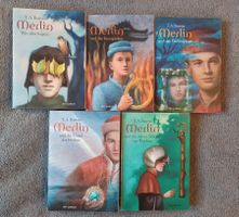 5x Merlin Bücher von T.A. Barron - 5 Bände Set - Merlin-Saga