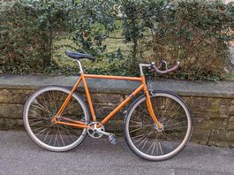 Fuji Feather