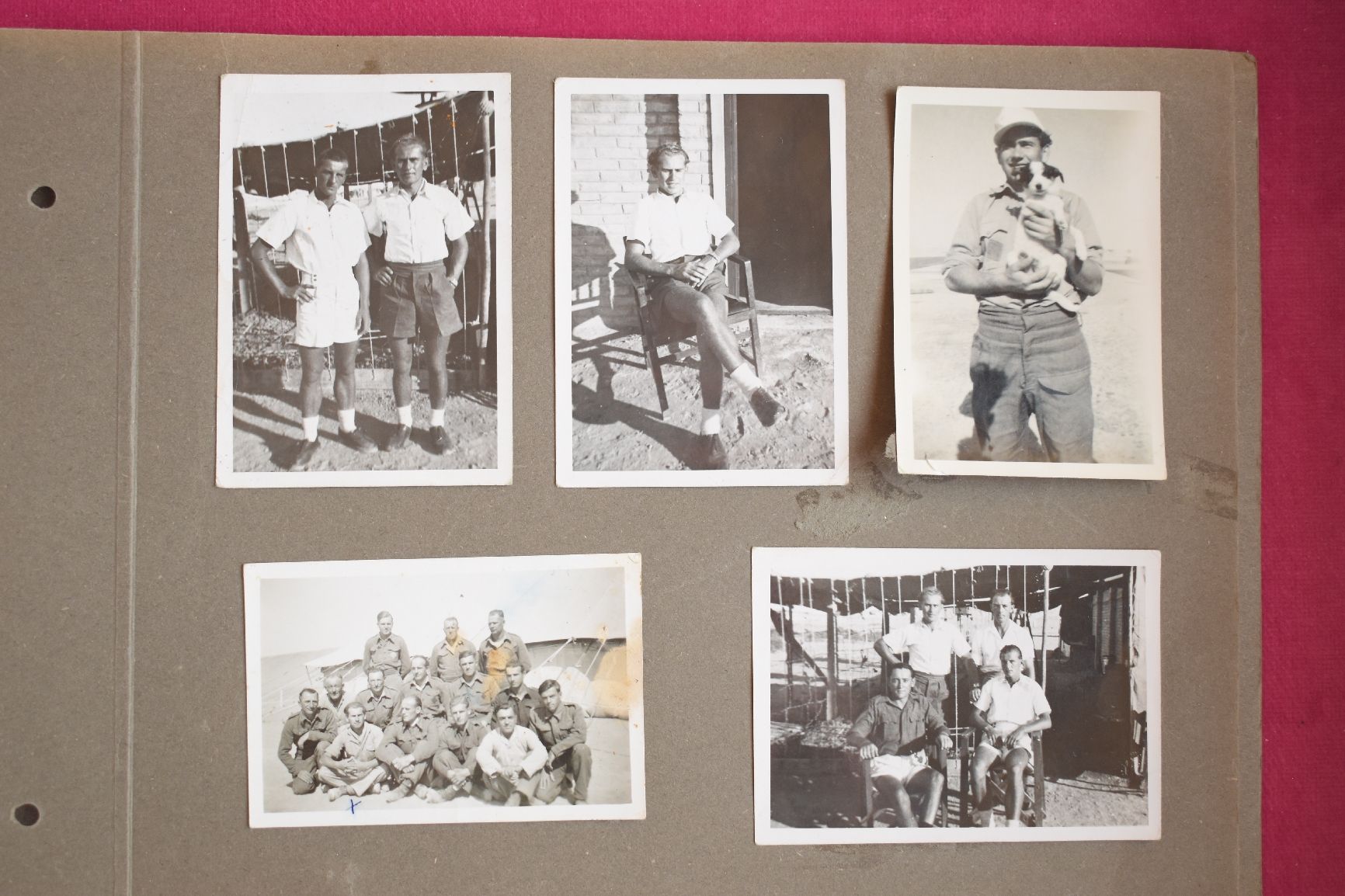 Poster & Bilder: Photo Afrikakorps – Gebraucht aus Savièse von tog_kn2z 5