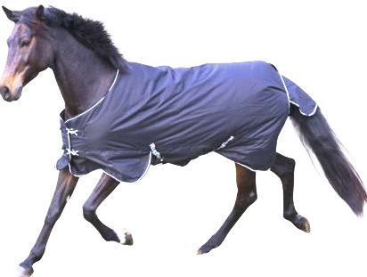 Coperte: Pferde-Winterdecke IceProtect 600 Denier Gr. 145cm – Nuovo e nell'imballaggio originale da St. Gallen venduto da schnaeppchen-preise 3