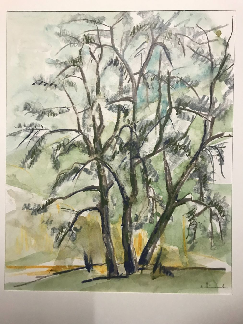 Dipinti: Junger Olivenbaum - Toscana, Aquarell, 33x40, 1993 – Usato da Biberist venduto da longimanus3 1