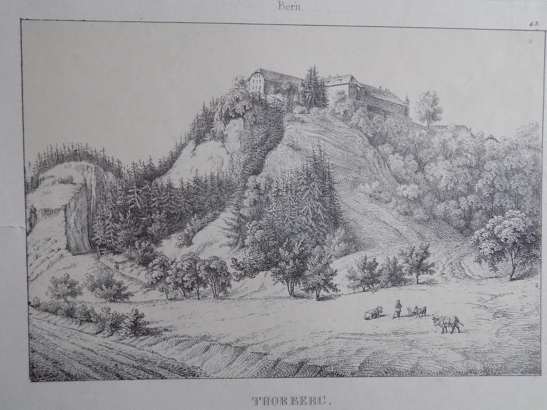 Incisioni: Thorberg Lithographie Wagner – Usato da Risch venduto da Antikfee 4