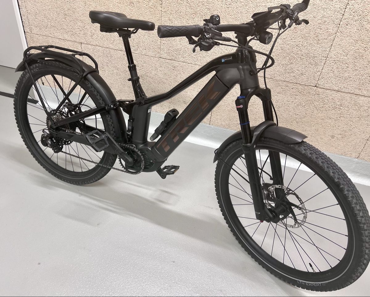 Trek Biciclette: E-Bike TREK Powerfly 9 – Usato da Goldach venduto da Pinco1811