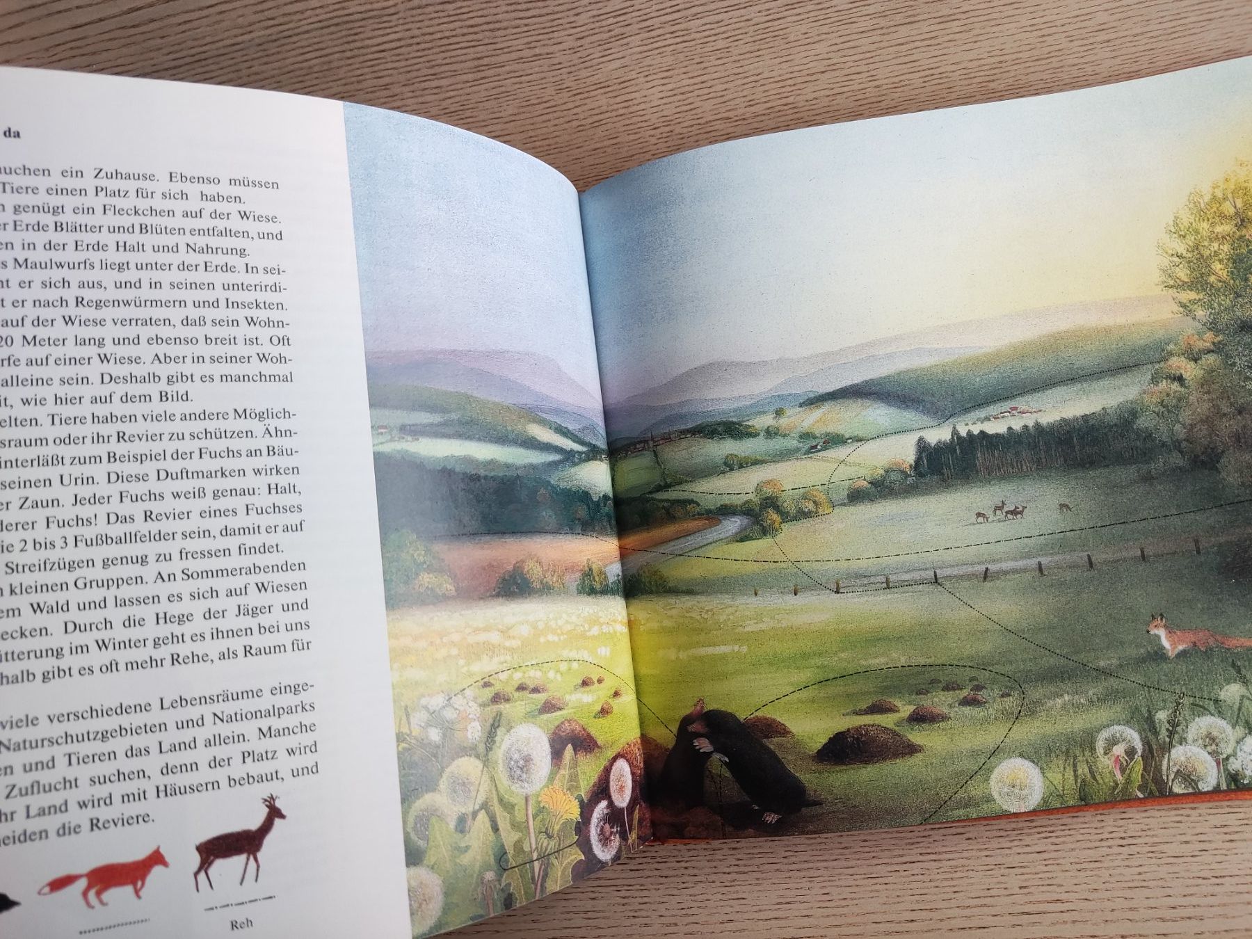 Libri: Die Erd-Uhr – Bilderbuch (1985) – Usato da Schaffhausen venduto da philscardstore 8