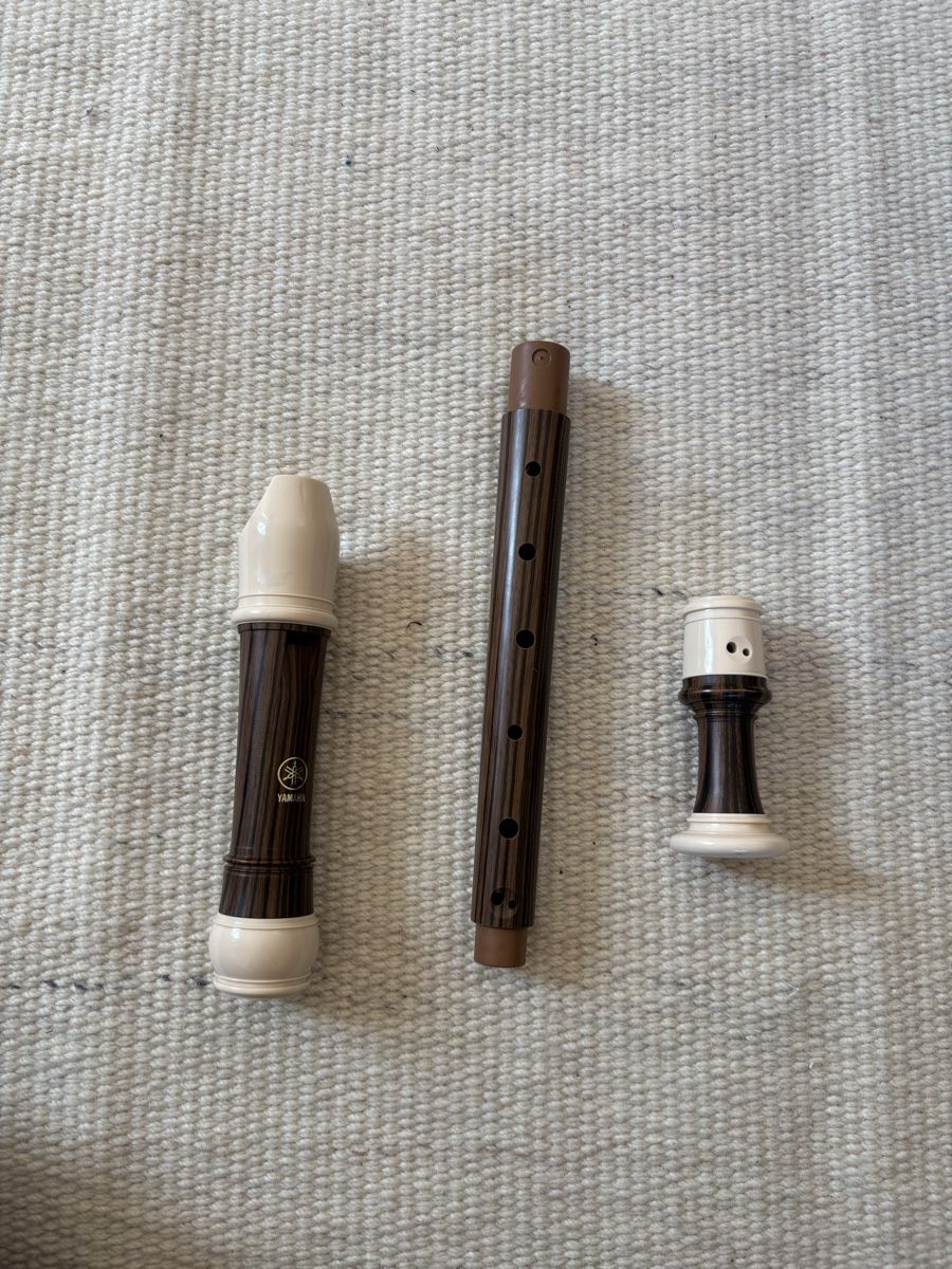 Yamaha Strumenti musicali: Blockflöte Yamaha (B) – Usato da Bern venduto da wisemagpie 5