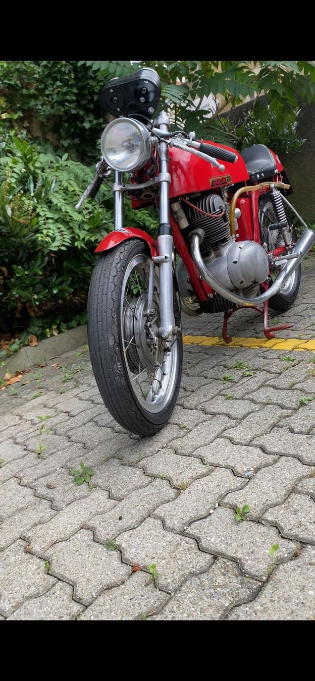 Strada: MV Agusta 250 B sport – Usato da Biel/Bienne venduto da mot_5zqd 4