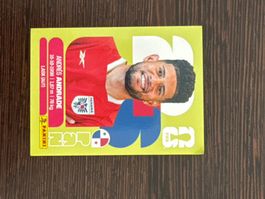 Panini FIFA WM 2026 PAN 5