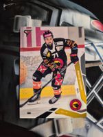 Emil Bemström SC Bern 2025/26 Sportzoo 2