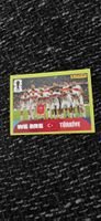 Panini TUR 13