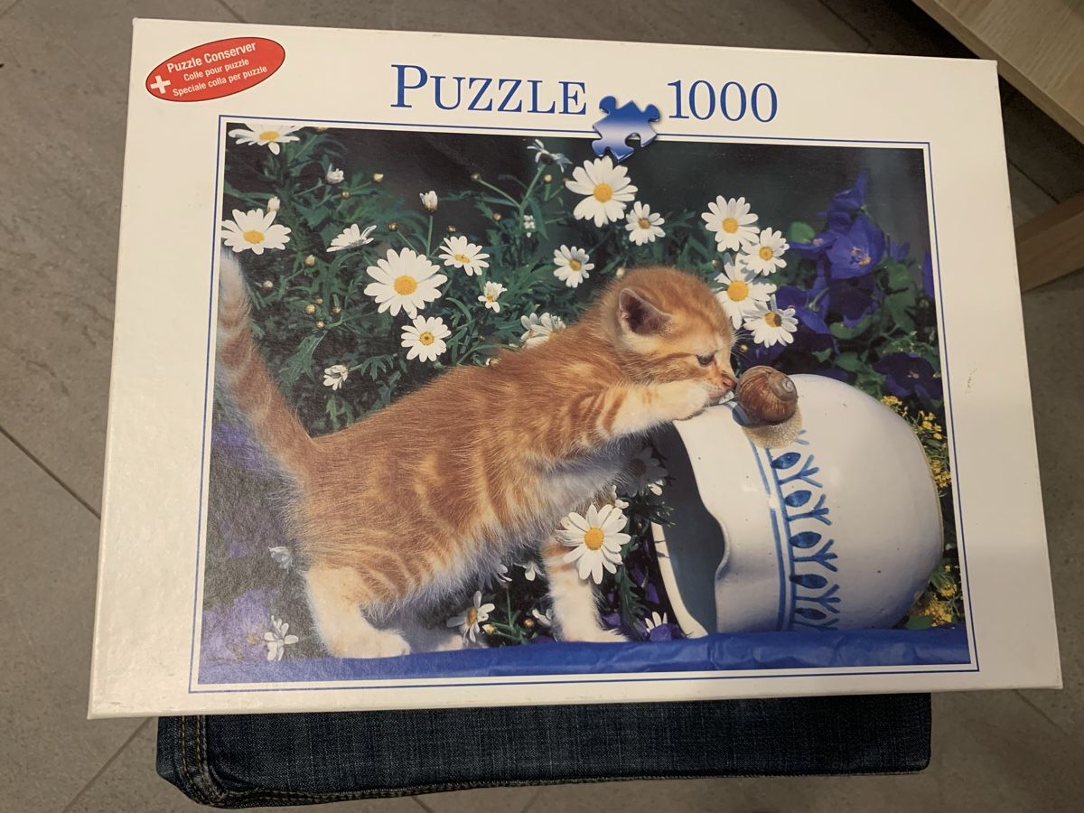 Puzzle: Puzzle 1000 Teile Katze – Usato da Winterthur venduto da Stuecheli