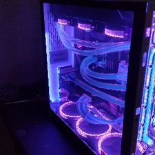 Profile image of Blue_Lobster