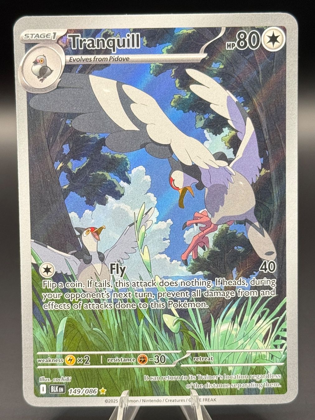 Pokémon Carte collezionabili: Tranquill 149/086 EN Black Bolt – Nuovo (secondo la descrizione) da Langenthal venduto da TheCrib