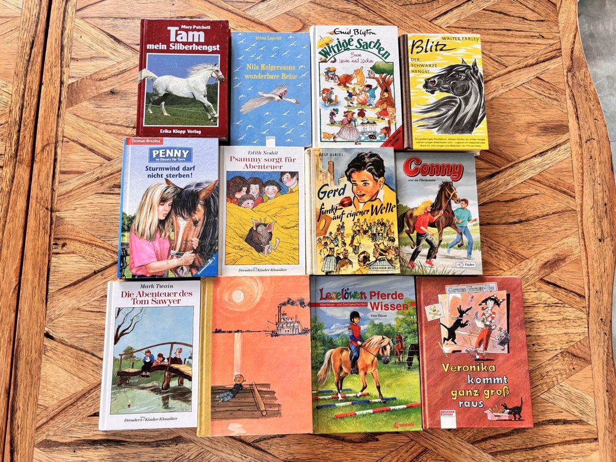 Bücher: Jugendbücher Sammlung – Gebraucht aus Arbon von Langbretterer