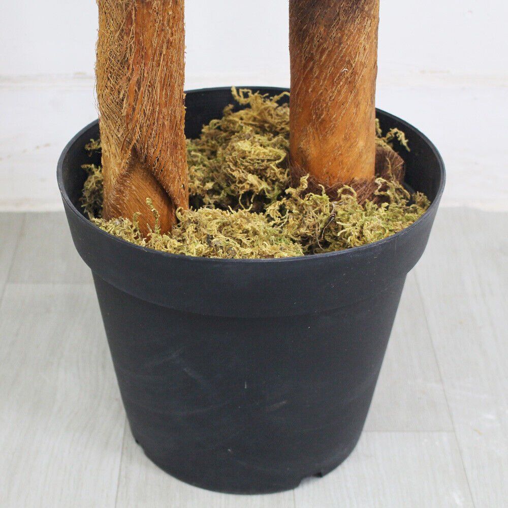 Piante & sementi: Palmenbaum Kunstpflanze 170cm Decovego – Nuovo e nell'imballaggio originale da Bottighofen venduto da zaap 3