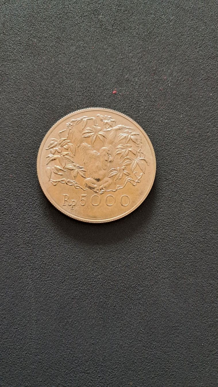 Tutti le monete: Indonesien 5000 Ruphia 1974 Unc – Usato da Lufingen venduto da E-Auktion 1