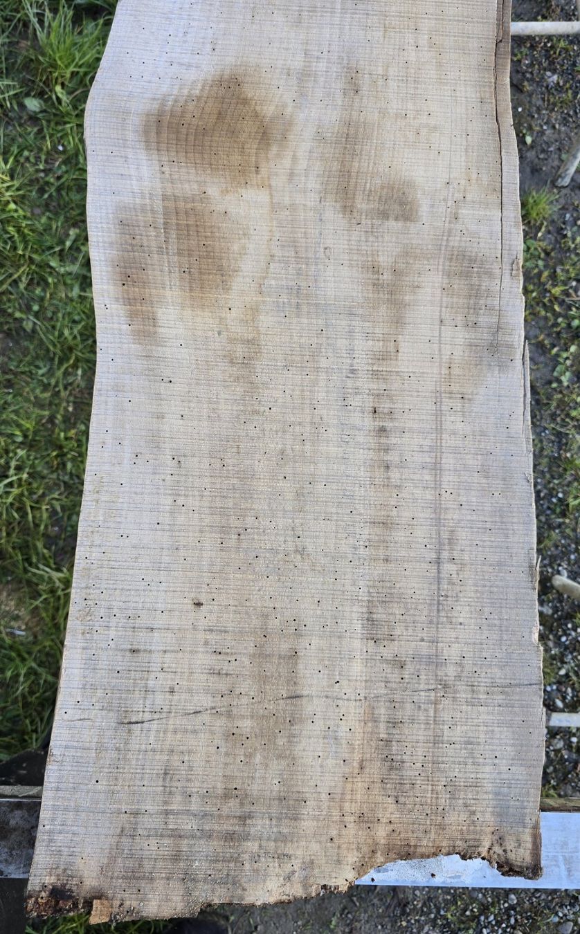 Holzartikel: Altes Holzbrett – Gebraucht aus Rorschacherberg von snOOpydOg11 1