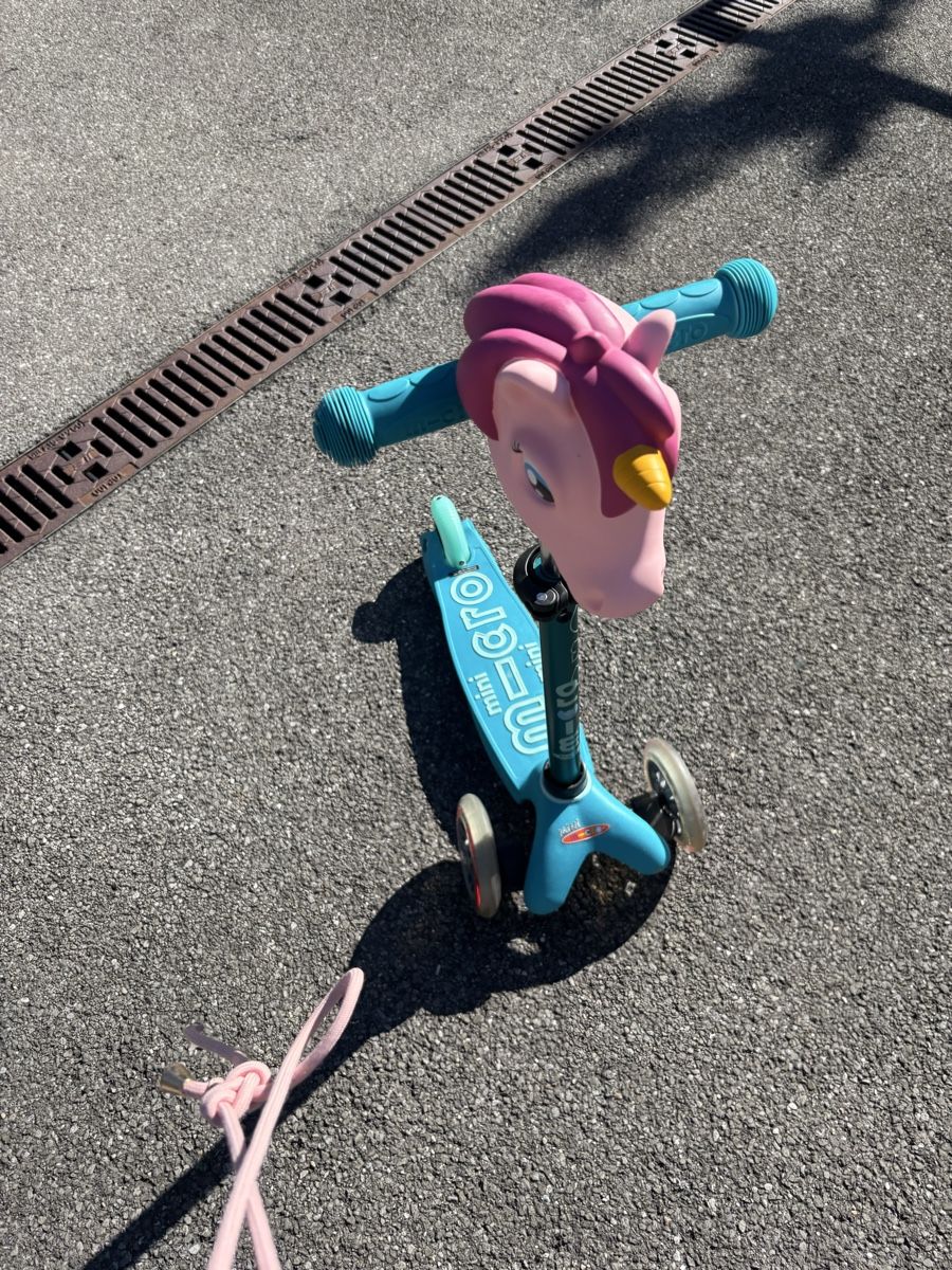 Kickboard: Micro Mini Scooter – Usato da Zürich venduto da liilaa89 2