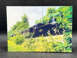 Dampfzug am Brienzersee G 3/4 Jahrgang 1913 (ex Brünig)