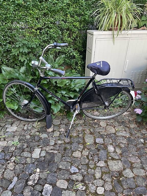 Gazelle Biciclette: Gazelle Velo – Usato da Zürich venduto da amu_5wjf