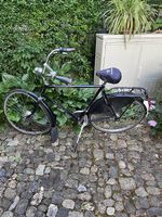 Gazelle Velo