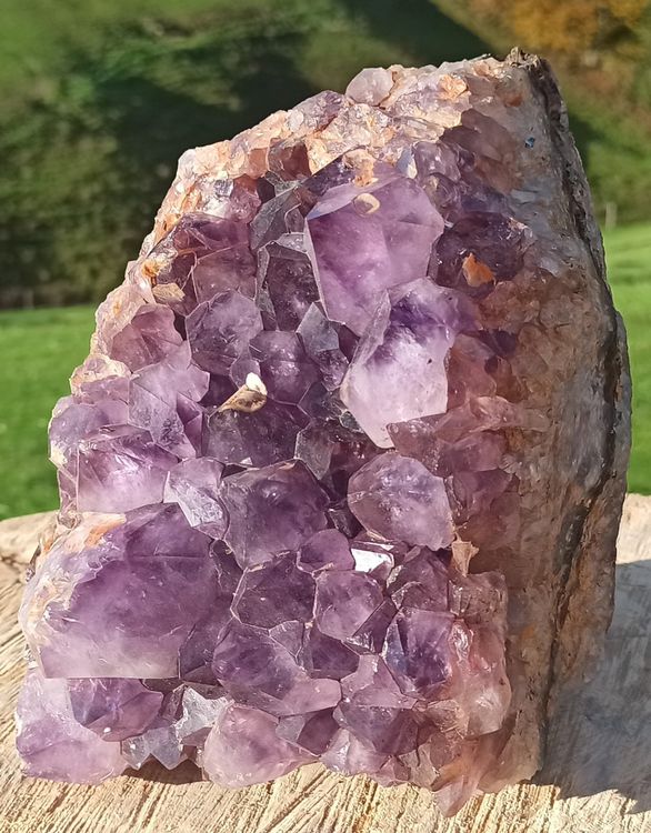 Bezaubernder Amethyst aus Brasilien (4.7Kg) (Neu (gemäss Beschreibung ...