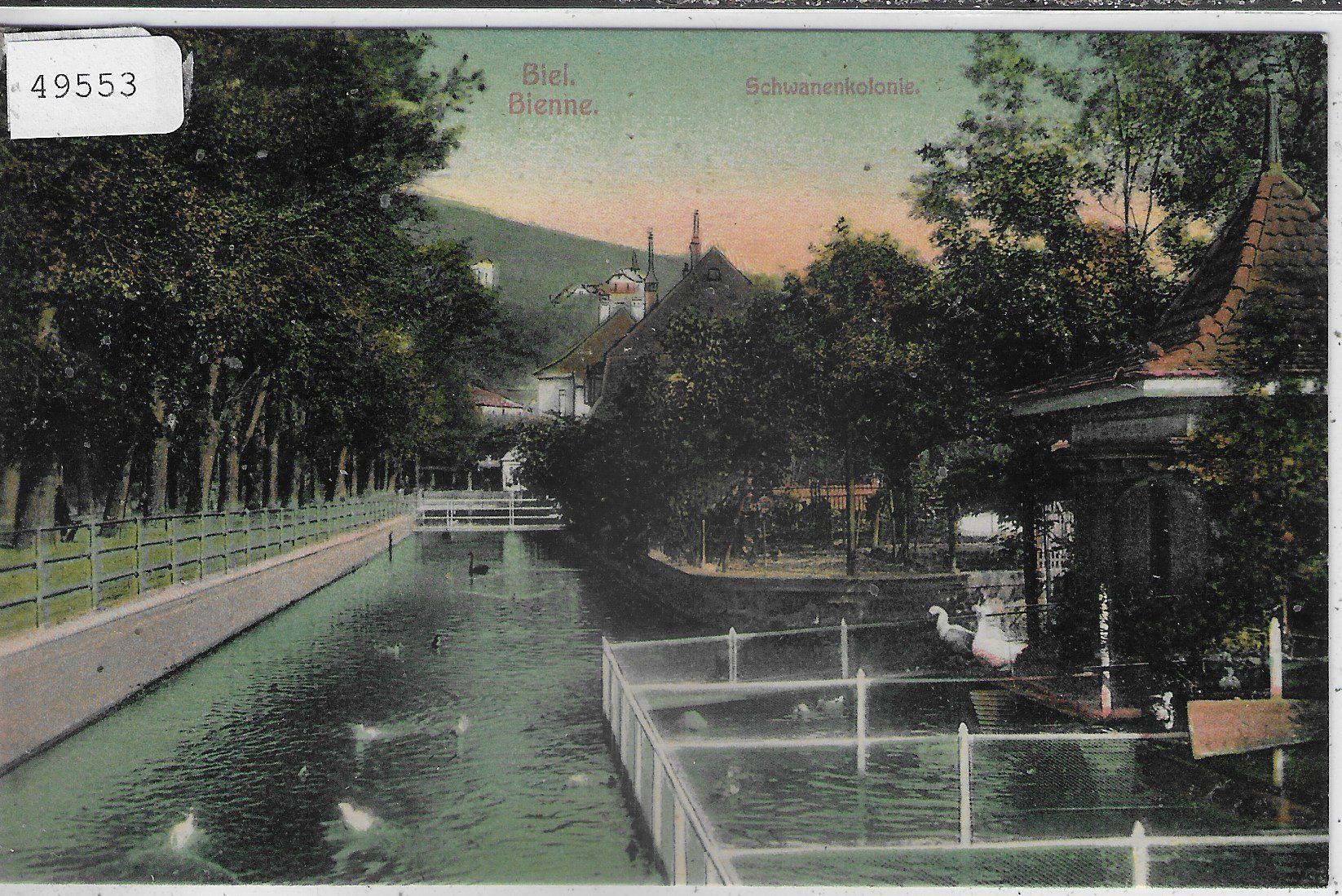 Cartoline postali: Biel Bienne - Schwanenkolonie – Usato da Ettingen venduto da Kartenplanet