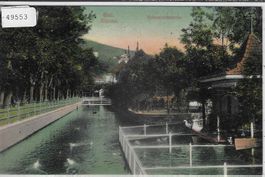 Biel Bienne - Schwanenkolonie